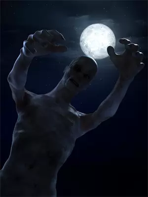 厨神学院怪谈