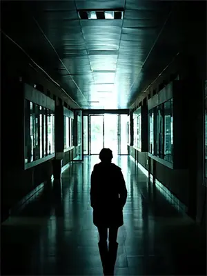迷雾森林：我能听到万物心跳沈砚林夕最新全本小说_最新章节列表迷雾森林：我能听到万物心跳(沈砚林夕)