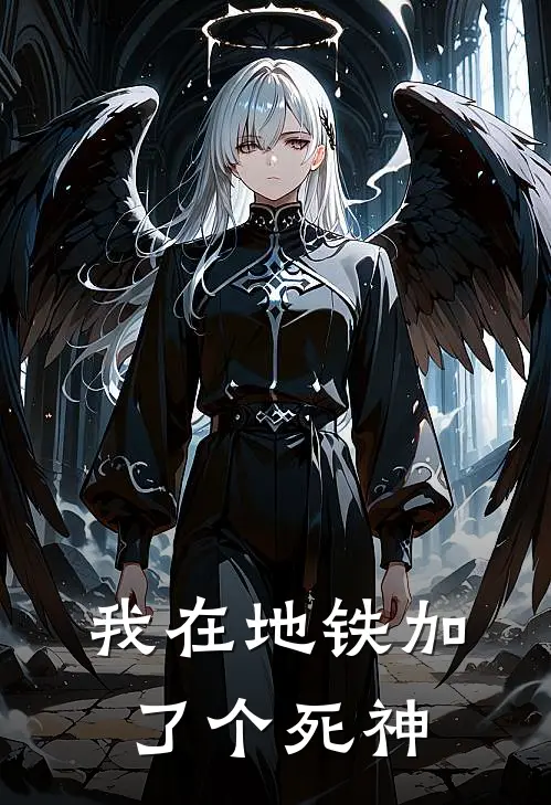 我在地铁加了个死神(林小美张建军)免费小说完结版_免费小说免费阅读我在地铁加了个死神林小美张建军