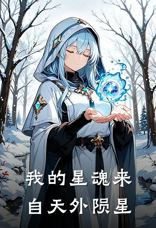 我的星魂来自天外陨星